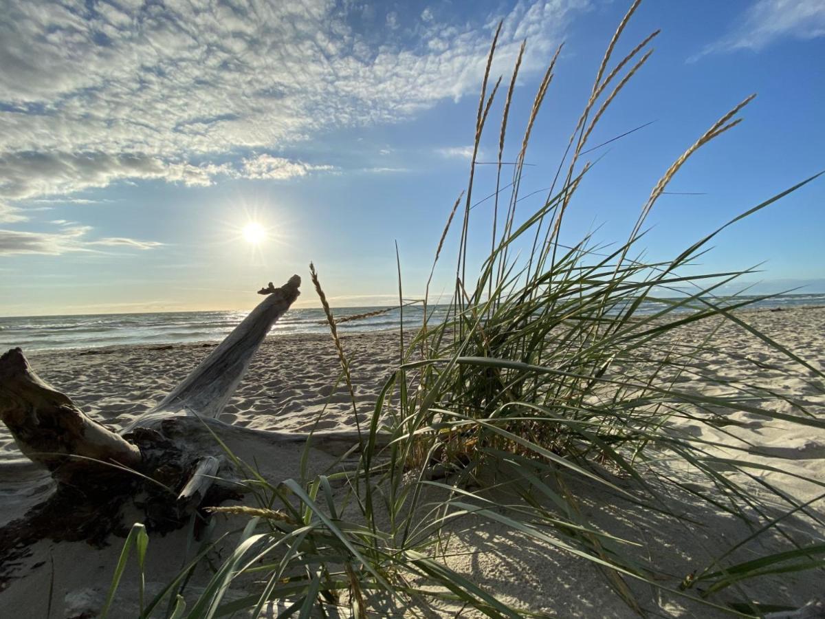 Fewo Unweit Warnemuende Sobierajczyk In Markgrafenheide Rostock Eksteriør bilde
